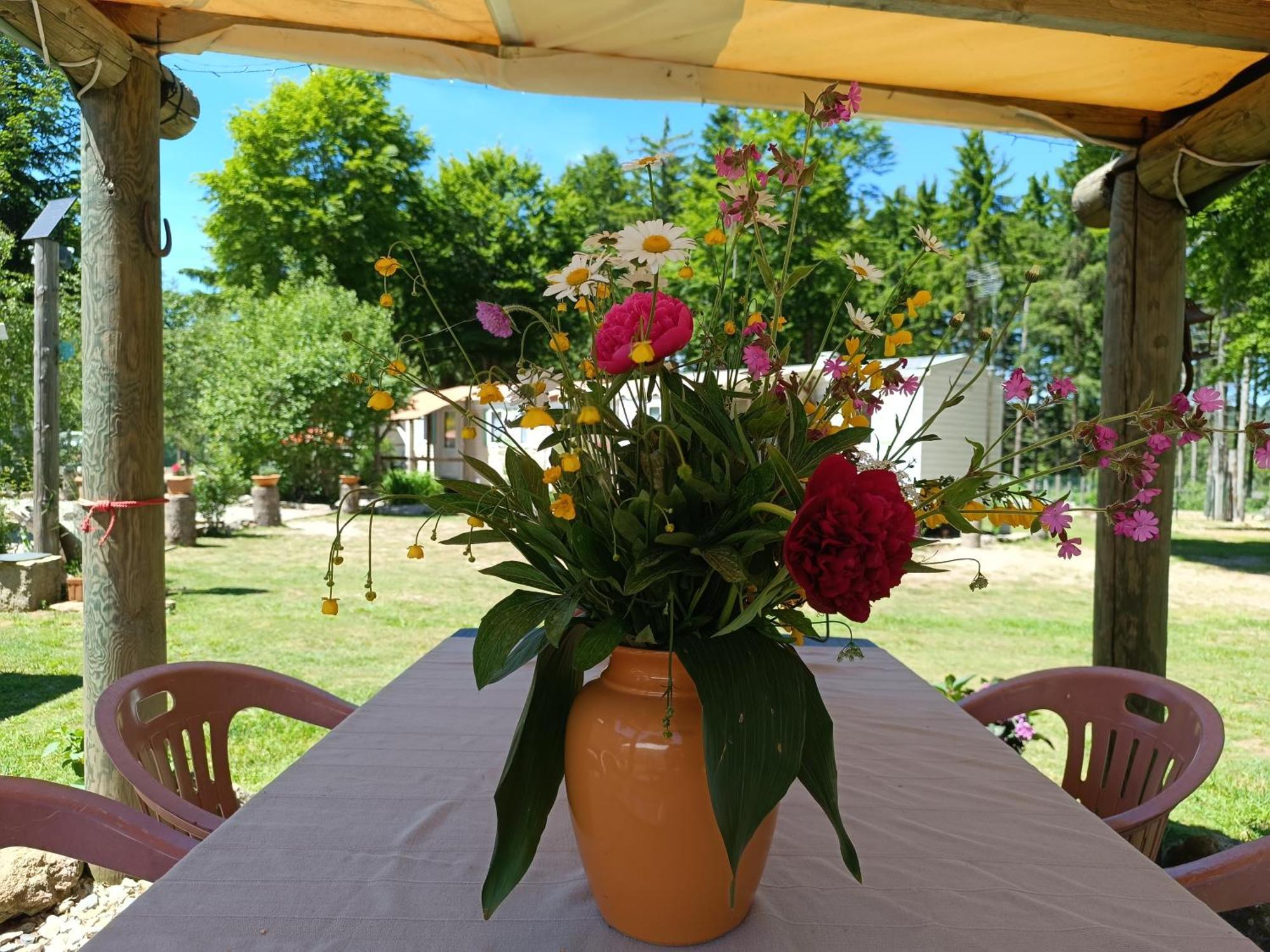 Le Sous Bois De Jade Hotel Chasserades Buitenkant foto